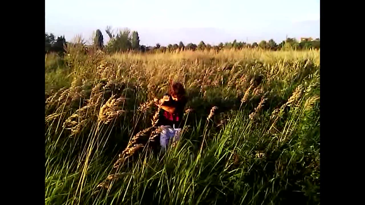 sady - vibe check #8