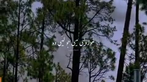 Beauty of Pakistan