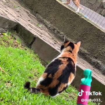 bro is doing calisthenics