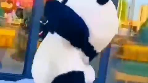 CUTE PANDA PRANK FUNNY VIDEO