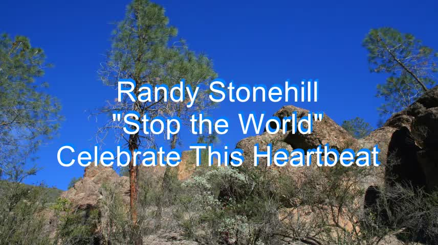 Randy Stonehill - Stop the World #218