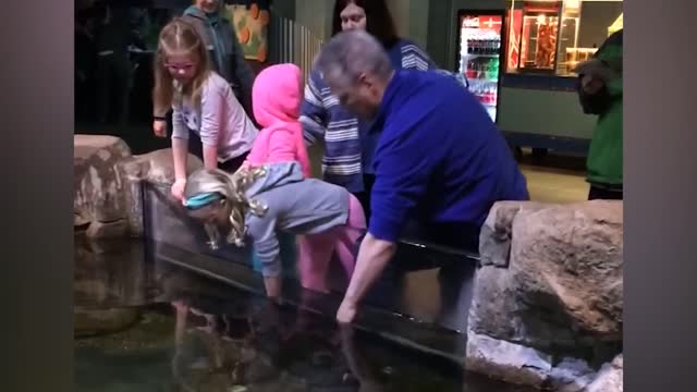 Funny Kids at the Aquarium Girl SPOOKED By A Beluga Whale!