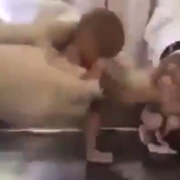 WARNING! Explicit, Abortion doctors desecrate dead fetuses