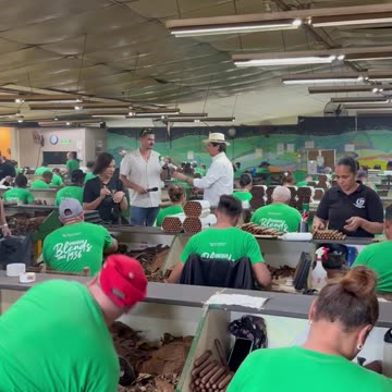 Chaveta Banging at Tabacalera Palma | Procigar 2024