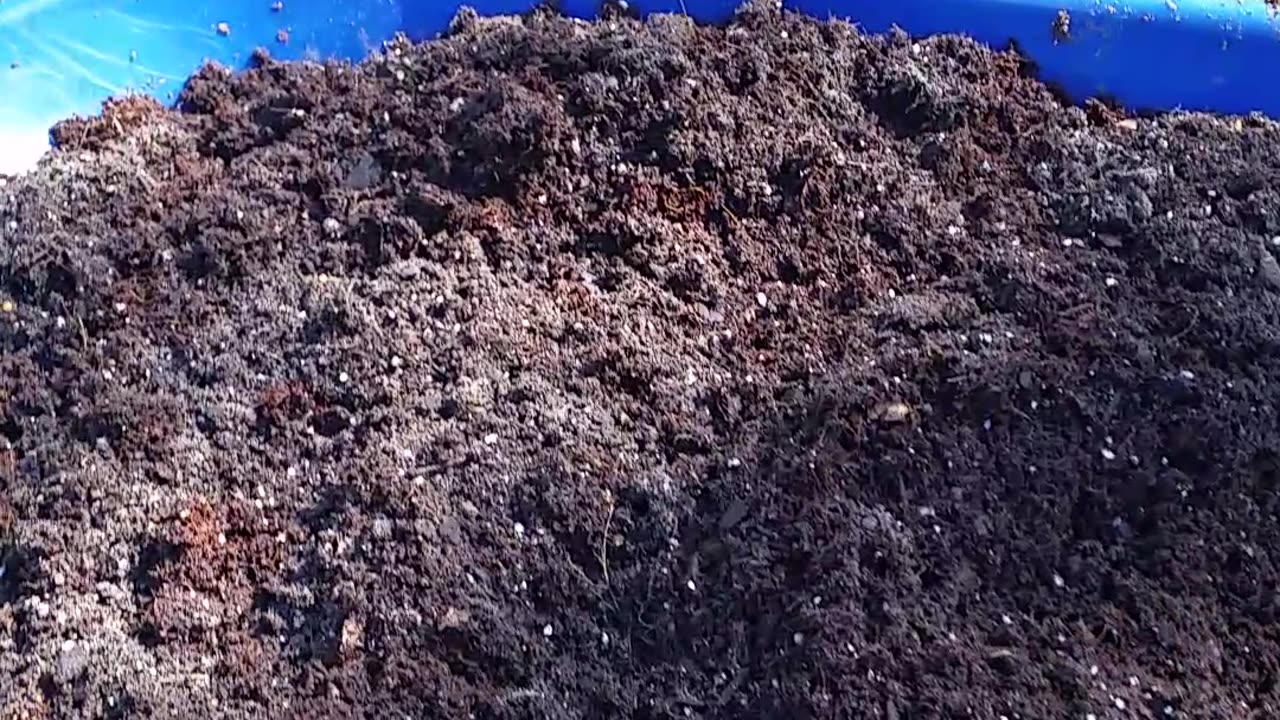 Soil Mix