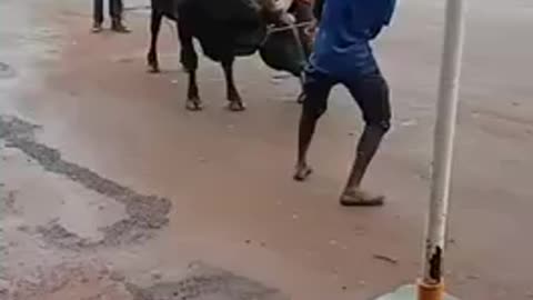 What a dangerous game