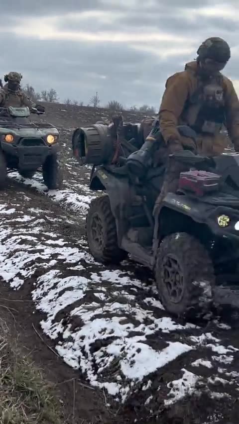 Ukrainian Rapid Response Unit