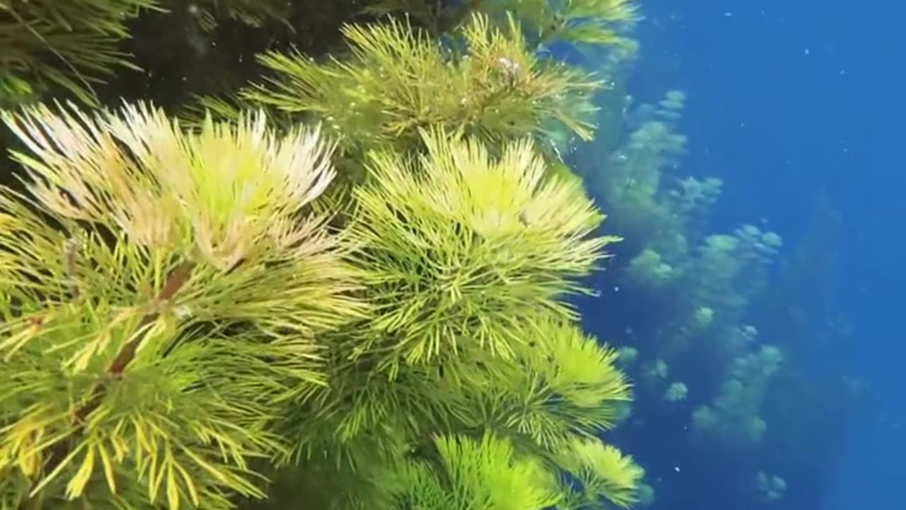 iPhone water views