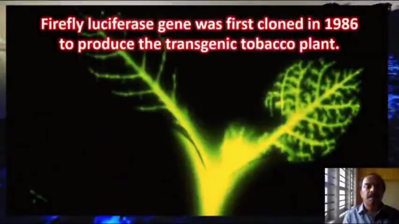 Luciferase (Lucifer’s Race) - it’s in the shot! You might as well call it Satan's DNA