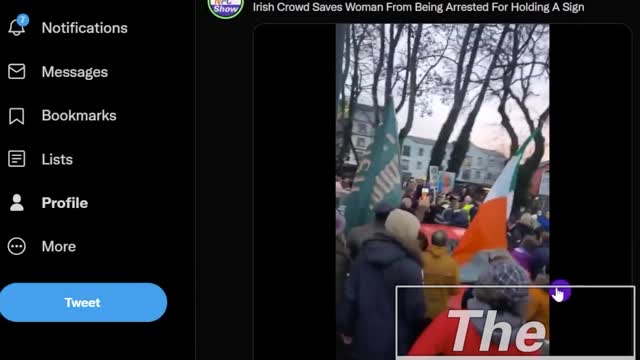 Irish Protestors Protect A Lady From Being Arrested