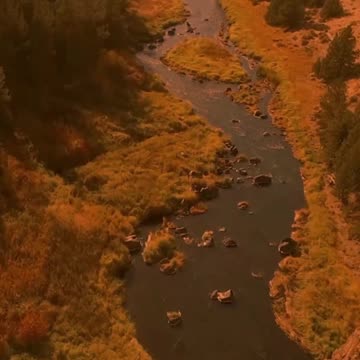 063 In numerology, Life Path 55 slash 1 is a powerful combination of double fives