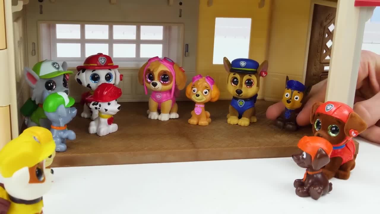 🔴Paw Patrol🔴 get a New House Toy Learning Video for Kids!