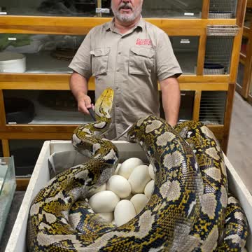 Lukas was sure ready! 🤣 🙌