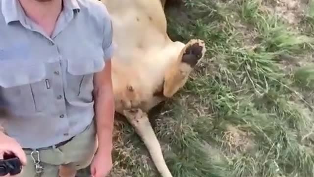 funny videos
