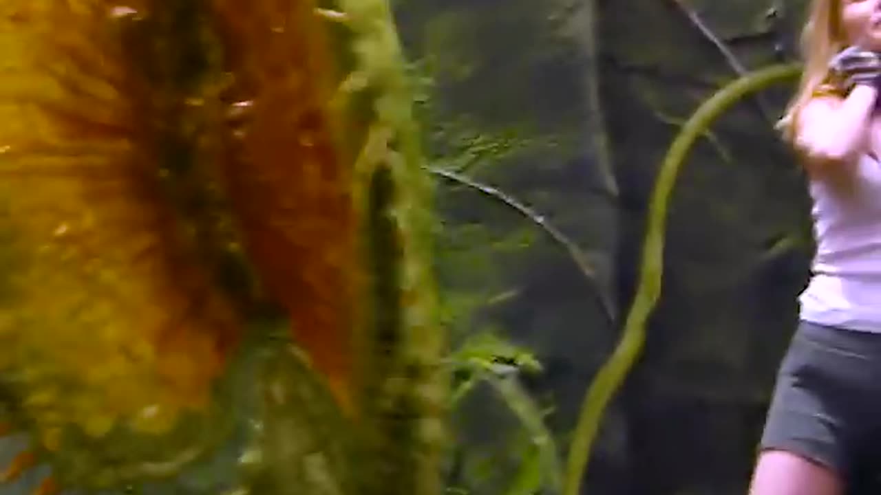 horror scene