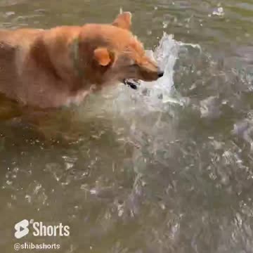 Sometimes You Just Need To Get Your Lake Time In