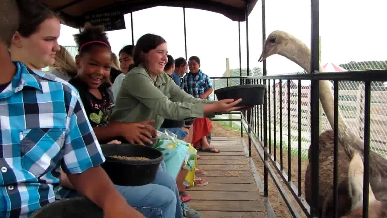 Dutch Creek Zoo