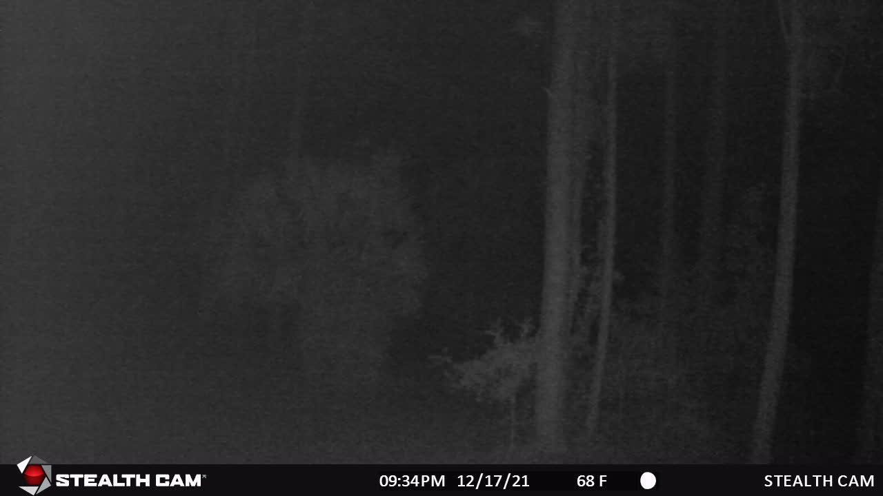 Graveyard watch -Hunt for paranormal!