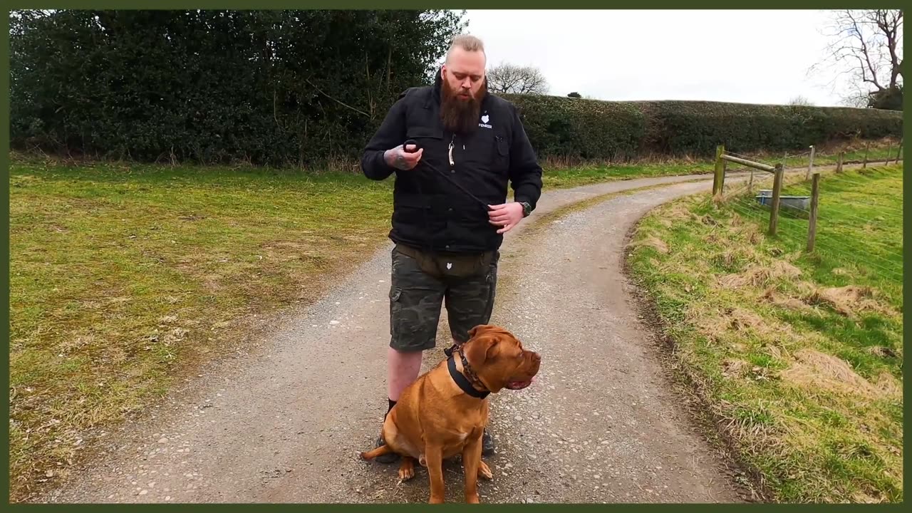 How To Stop Your Dog PULLING On The Leash - EXTREME CASE