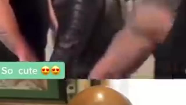 Mike Tyson So smart 👏🏻👏🏻👏🏻👌👌. #miketyson #fyp #funny #foryou #shorts