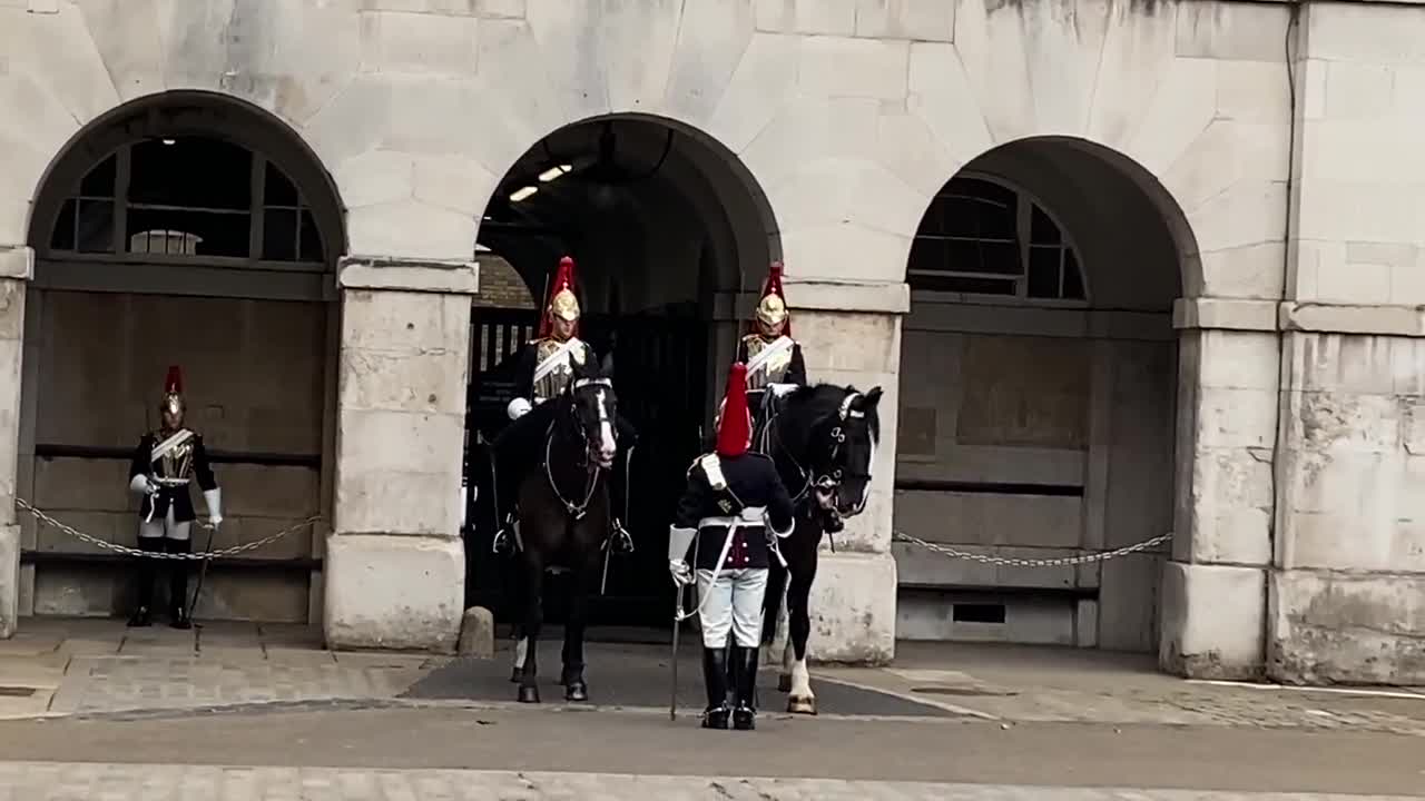 Queen’s Guard Horse Goes Crazy