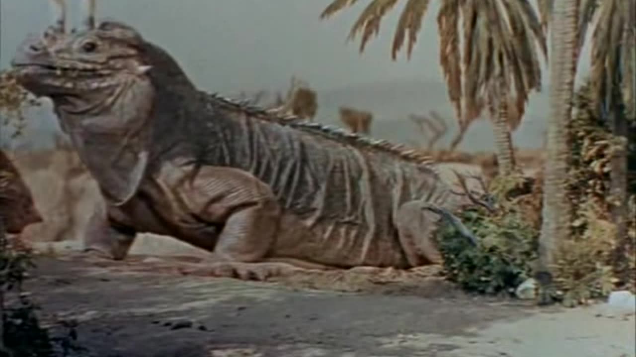 07 - VIAGEM AO FUNDO DO MAR - 2ª Temporada - Terror na ilha dos dinossauros
