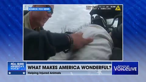 Things That Make America Wonderful 🐶