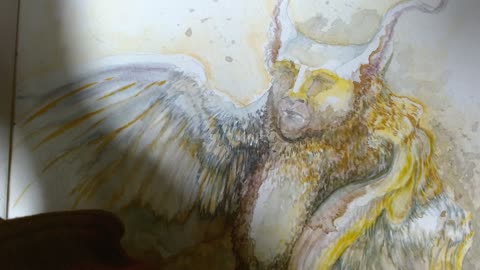 Bird Halfling 11