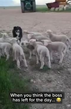 When you think the boss has left for the day!