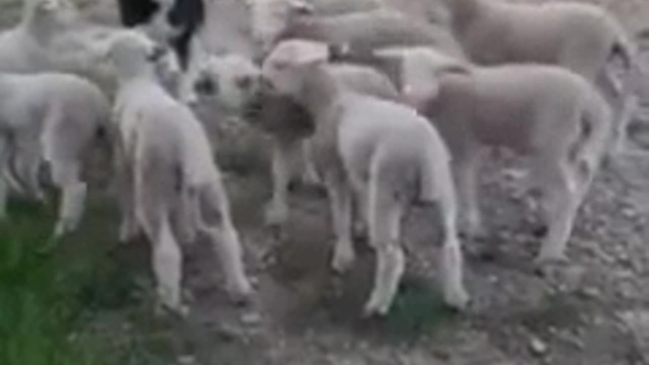 When you think the boss has left for the day!