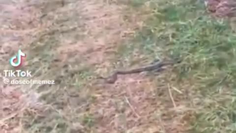 Bro I got you. Hold up!!!