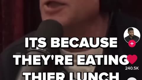 TikTok joe Rogan