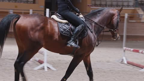 A horsewoman slowly riding a horse on arena