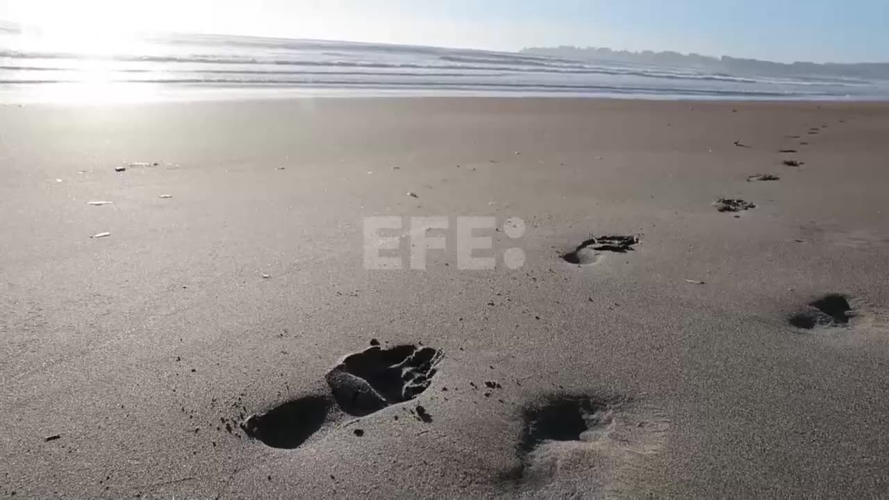 Las autoridades levantan la alerta de tsunami tras terremoto de magnitud 7 en California