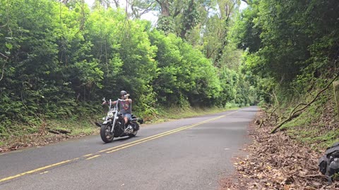 🇺🇸 Hawaii Wasn’t Ready for This Harley-Davidson Fat Boy Launch! 🌺⚡ Hold My Coconut! 🥥🏍️