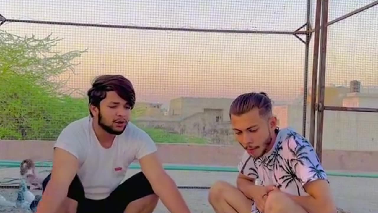 Funny video