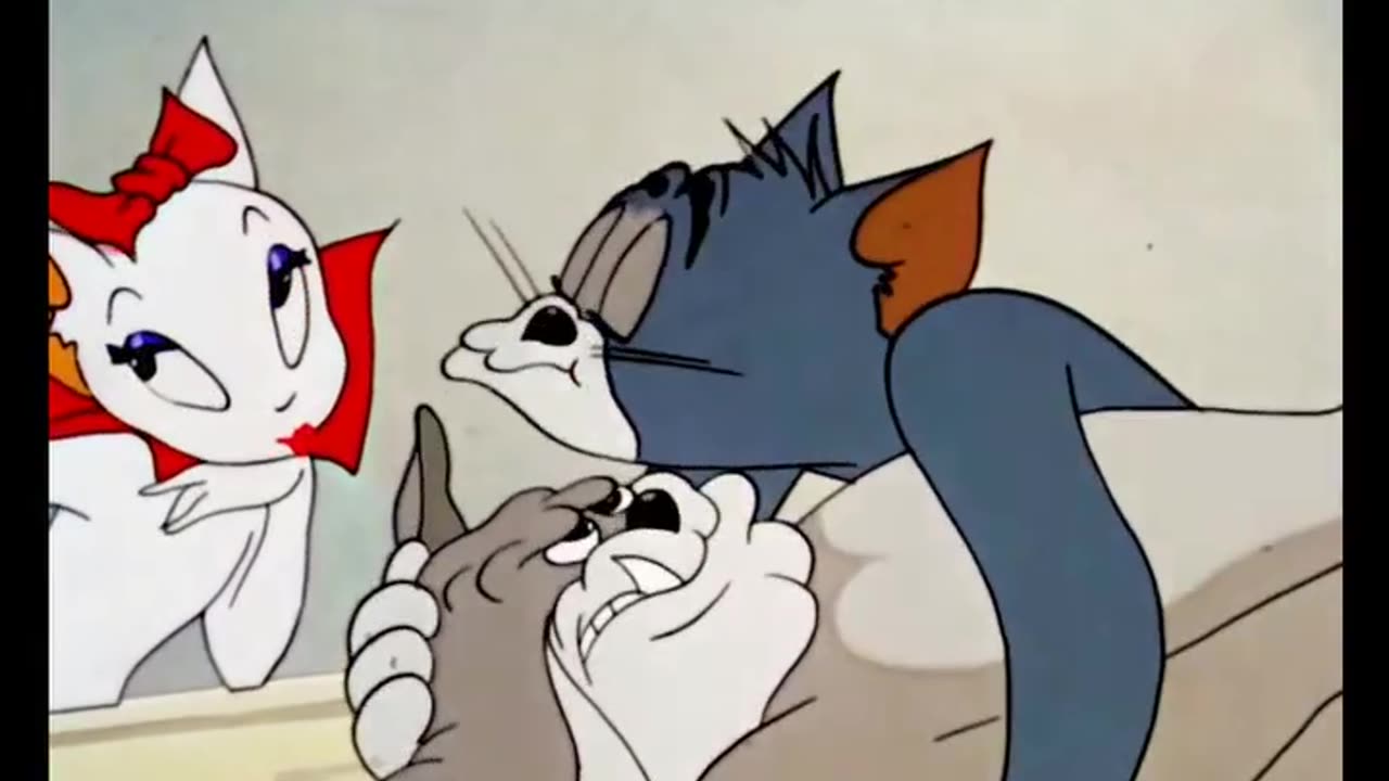 Funny video Tom and cheery