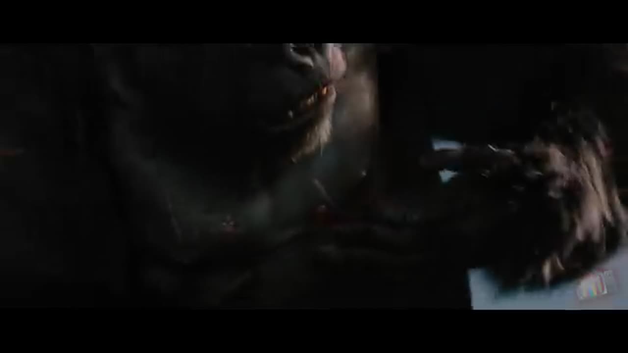 Bast move seen