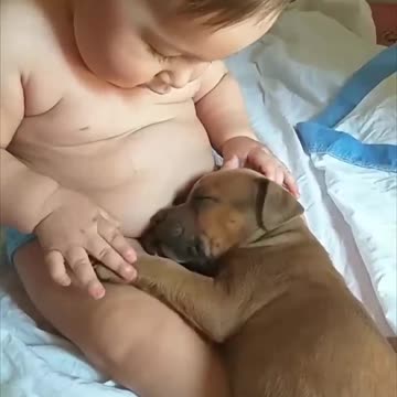 Adorable baby touches sleepy puppy as it lays in his lap