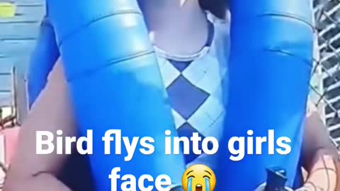 OMG bird flys into girls face