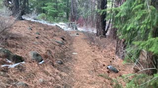 Roaring Creek & Geological Formations – Whychus Creek Trail – Central Oregon