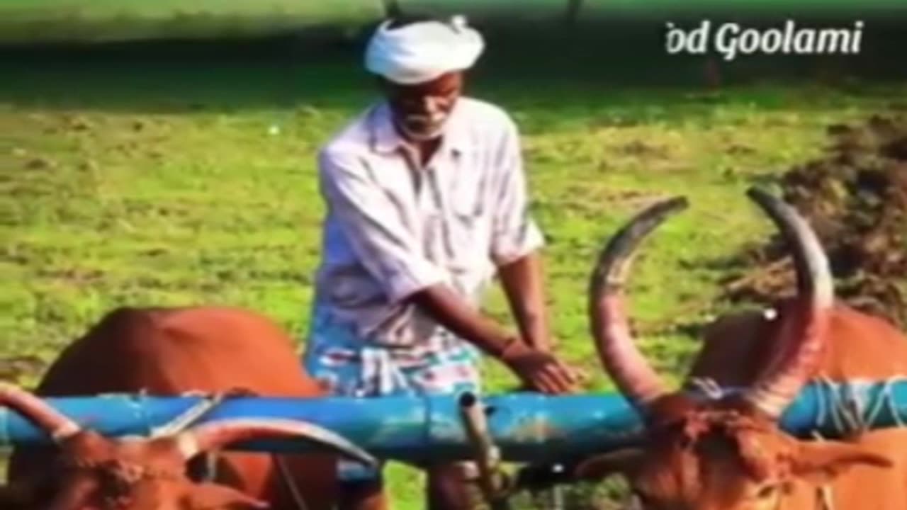 Desh bhakti bharat statas viral video