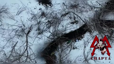 Sparta looking for the enemy