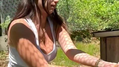Hi Guys chicken, Vlog, part 2 and my golf skill for first time Beachbunniexo, Amber Ajami,
