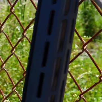 Sig Sauer Cross PRS Rifle 24 STS #Sig #SigSauer #GunsandRange #Rifle