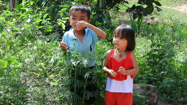 Funny Khmer Song