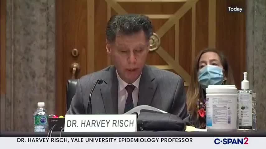 Dr Harvey Risch, Epedemiologist Yale Schools of Public Health and Medicine - US Senate 11-19-2020