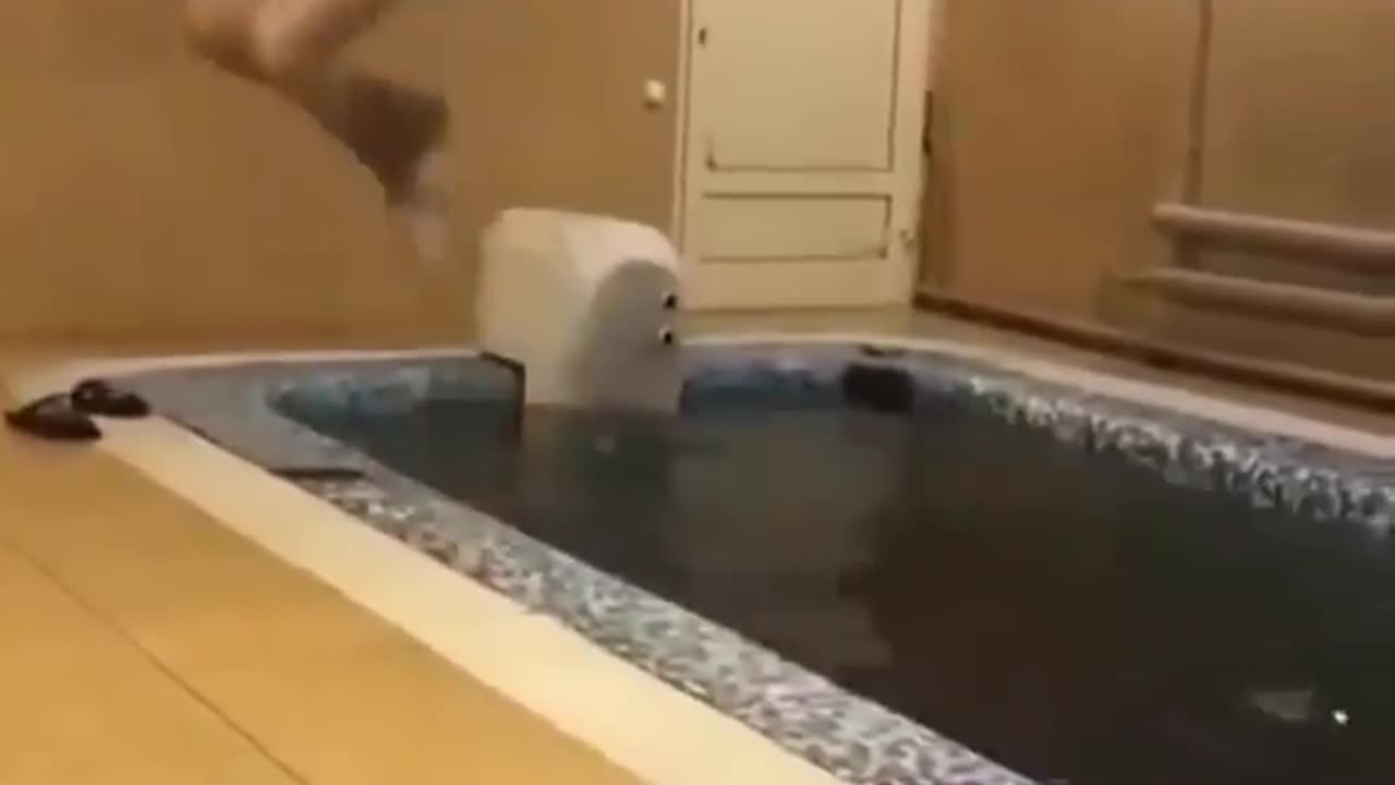 Epic back flipp dive