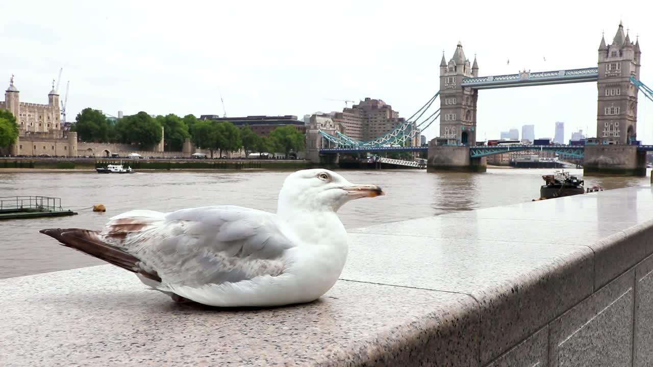 Tower bridge London - background