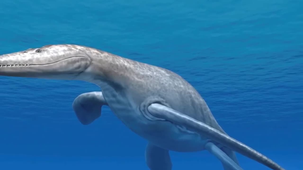 How Bizzare The Extinct The Plesiosaurs Is!